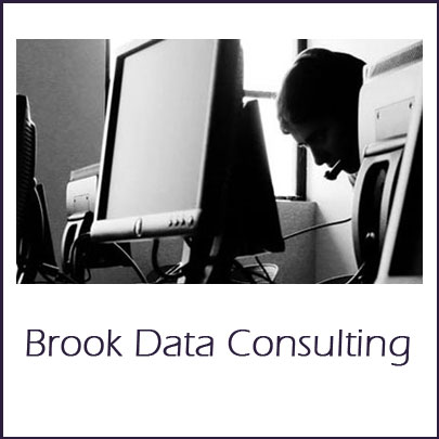 http://www.brookdata.co.uk/ Brook Data Consulting - data collection and analysis since 1984