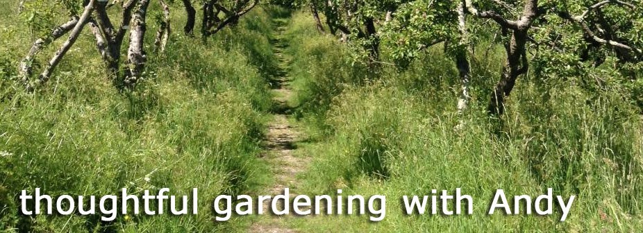 https://thoughtfulgardeningwithandy.weebly.com/ thoughtful gardening with andy